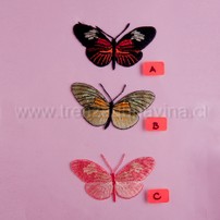 003170