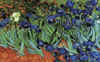 004195