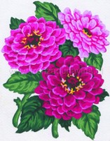 002876