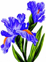 003594